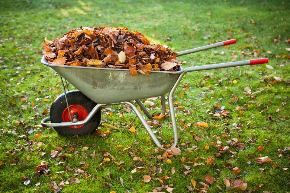 garden waste clearance