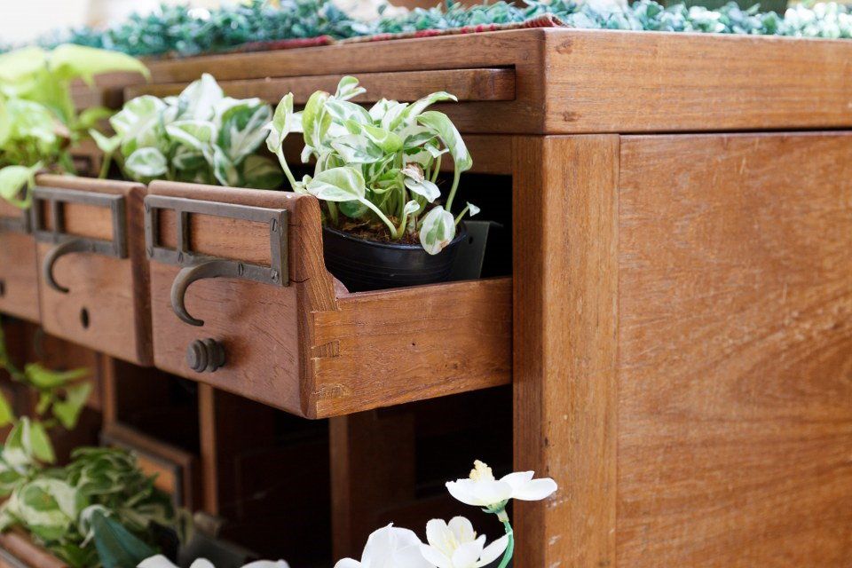 Flower Pots Clearance