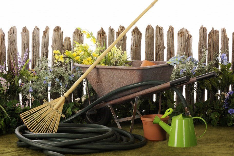 plan garden waste removal