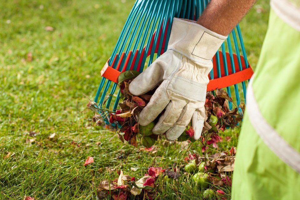 garden waste clearance