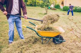 Hire a Garden Clearance Company for Your Summer Clearance