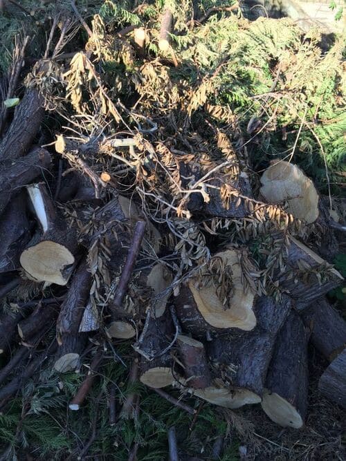 SE11 office clearing services Lambeth